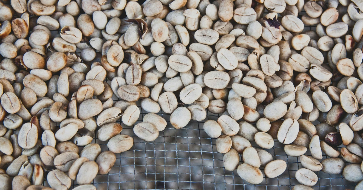 Why Choose Blond Roast Coffee Beans Over Other Coffee Beans