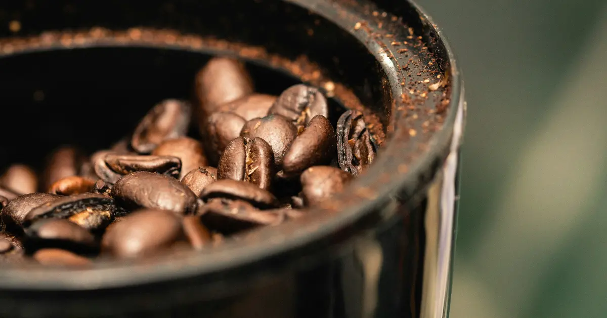 Concerns Regarding Single Dose Coffee Grinder 
